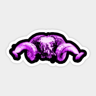 Ram Skull Purple Sticker